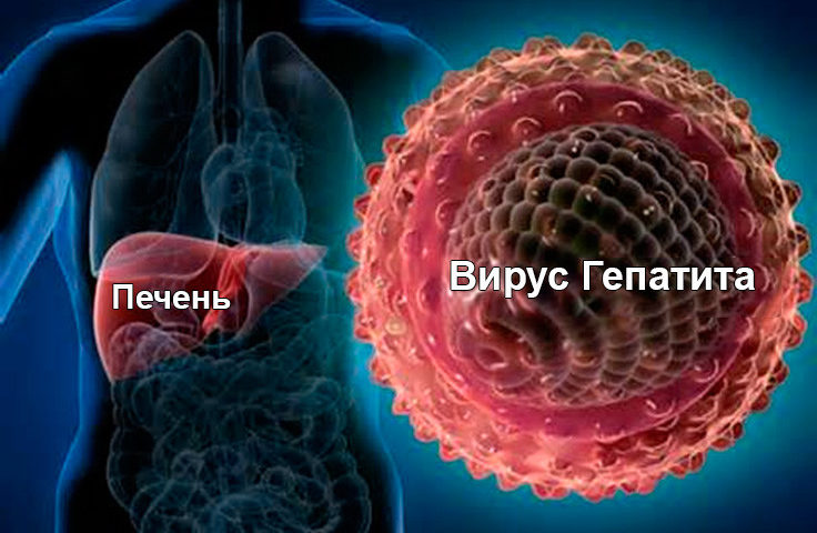 Реферат: Острый вирусный гепатит А